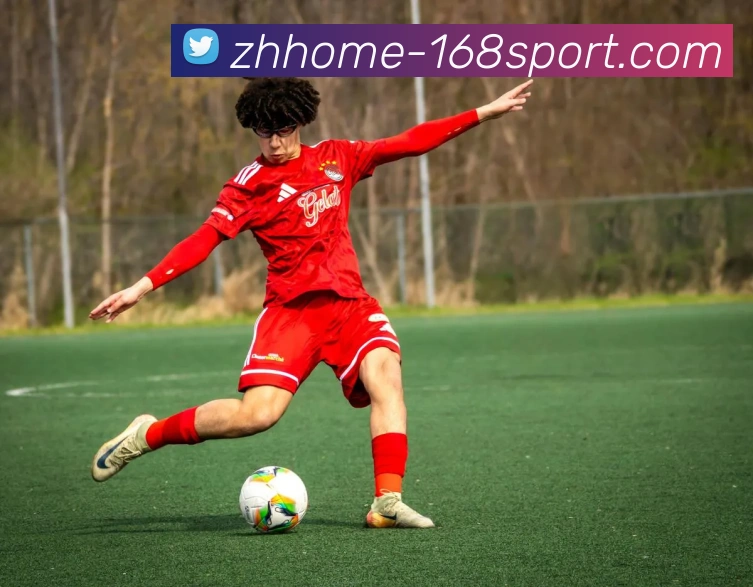 168体育官网服务体系